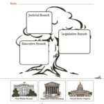 thumbnail of American Government – Branches of the Government