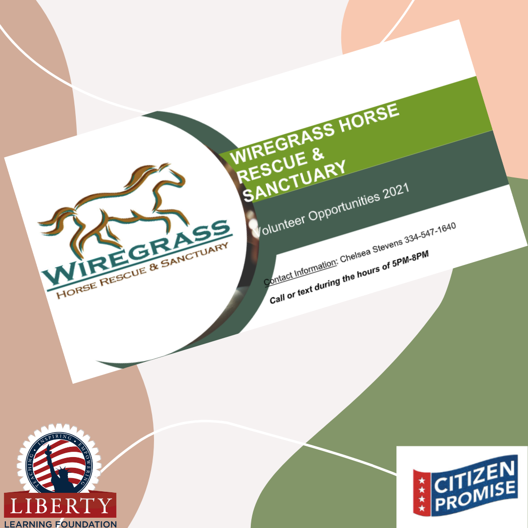 Wiregrass Horse Rescue and Sactuary Graphic